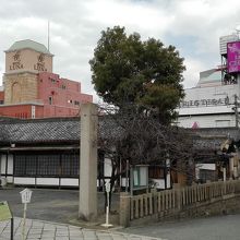 ラブホ街ど真ん中