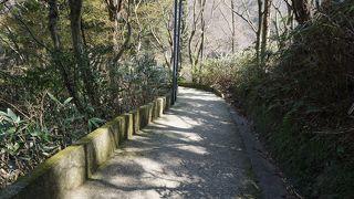 深い谷底が見えた時にはちょっと腰が引けましたが