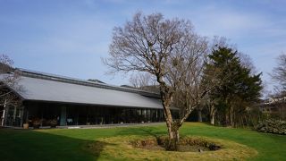 アール・ヌーヴォーとアール・デコの時代を駆け抜けたデザイナー