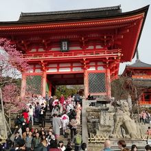 華麗で威風堂々たる清水寺の正門です