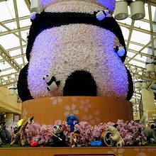 パンダちゃんの後ろ姿