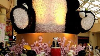 出現！巨大パンダ