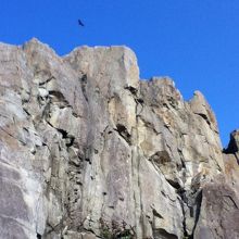 東尋坊ととんび