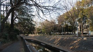 桜の時期がよさそう