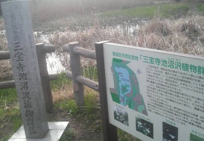 三宝寺池沼沢植物群落 クチコミ アクセス 営業時間 練馬 フォートラベル