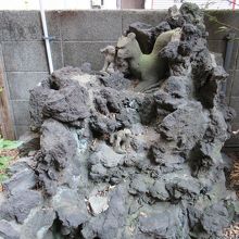 厳しい顔つきの狐