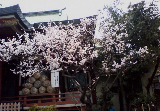 千住本氷川神社 クチコミ アクセス 営業時間 北千住 南千住 フォートラベル
