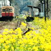 小湊鉄道