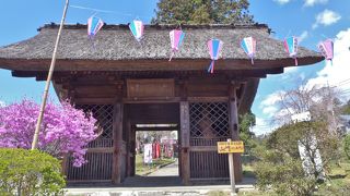 立派な金剛力士像を見られます