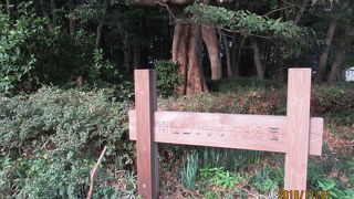 ひろびろ、のびのび公園です