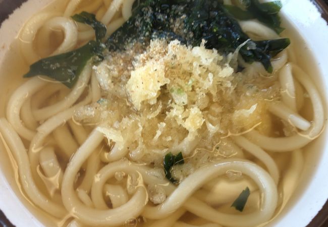 さか枝製麺所 仏生山店 クチコミ アクセス 営業時間 高松 フォートラベル さか枝製麺所 仏生山店 クチコミ アクセス 営業時間 高松 フォートラベル