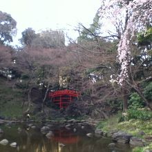 通天橋 のある風景