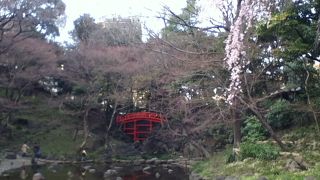 緑の中の赤い橋