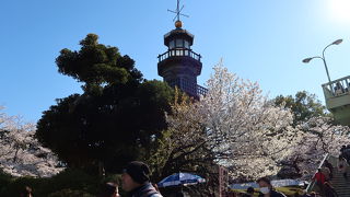 人混みの中でも目立ちます