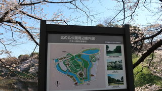 桜満開の入学式