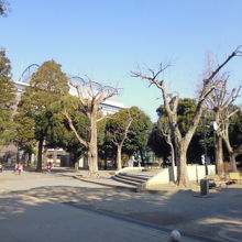 若林公園