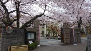 桜の季節に訪れました