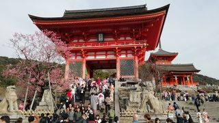 西国16番札所は京都屈指の観光スポットです