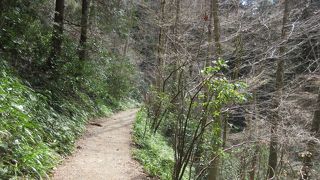 コースいろいろ