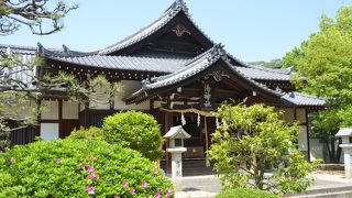 道後温泉本館を見下ろせる