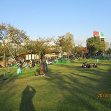 てんしば（天王寺公園内）