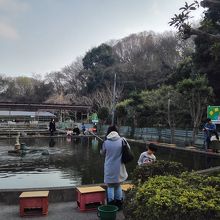 さらに下流（南）には釣り堀。公園の施設ではない。