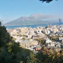 鹿児島市内と桜島を一望