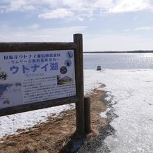 水鳥がたくさんいるようです