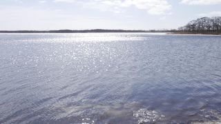 ウトナイ湖の辺り