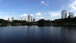 中島のお茶屋から