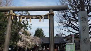 存在感のある鳥居