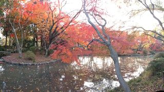 温室が良かった