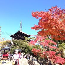 興福寺前の紅葉