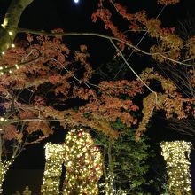 おもはらの森景色