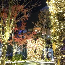 おもはらの森景色