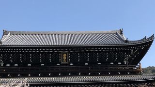 立派な三門です。