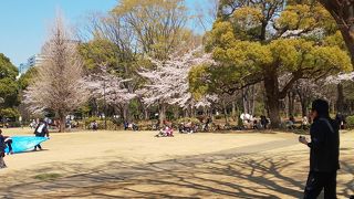 脇には日本武道館
