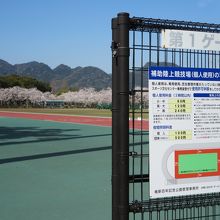 立派なサブグランドもあります