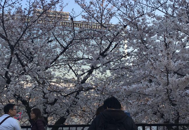 南天満公園 クチコミ アクセス 営業時間 キタ 大阪駅 梅田 フォートラベル 南天満公園 クチコミ アクセス 営業時間 キタ 大阪駅 梅田 フォートラベル