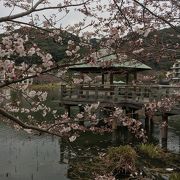 池のある公園