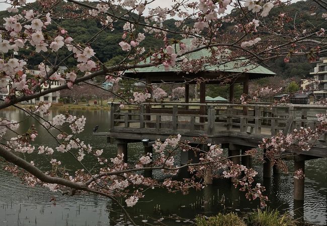 池のある公園