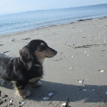 波打ち際を散歩