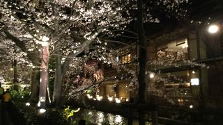 艶やかに祇園の春の宵