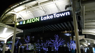 大きすぎてビックリ・・