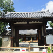 見とれてしまいます