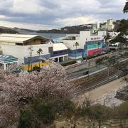 城跡の桜が若い息吹呼んでいる