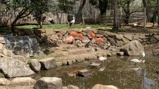 動物園デビューにぴったりの規模感