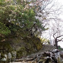 多宝塔への石段