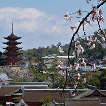 途中の景色。厳島神社の屋根と五重塔が見えます。