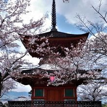 多宝塔を正面から見る